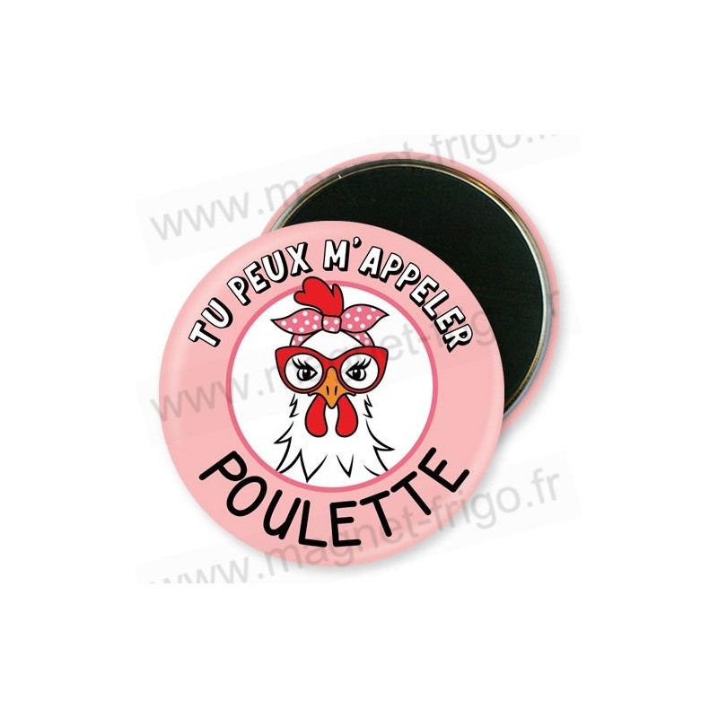 Aimant magnet poulette