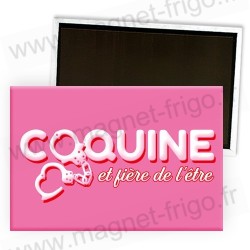 Magnets frigo coquins