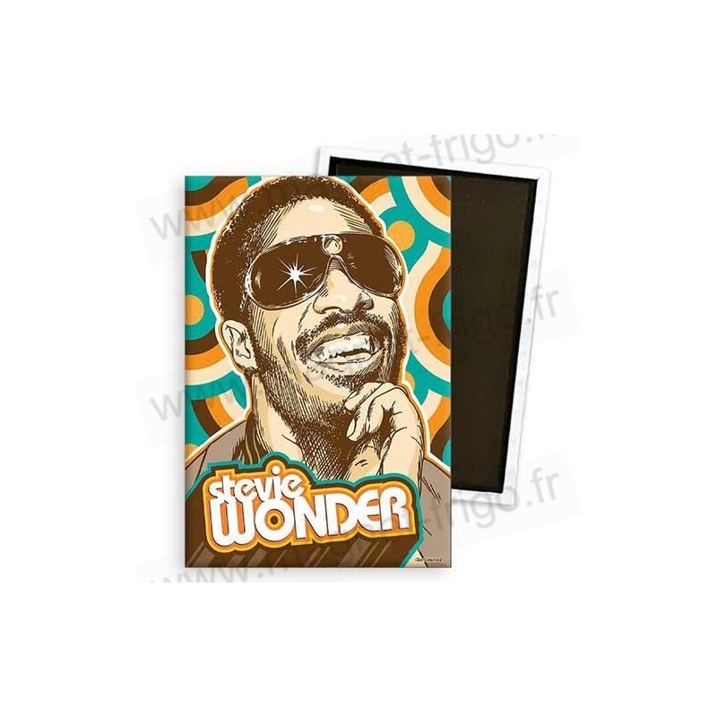 Magnet Stevie Wonder