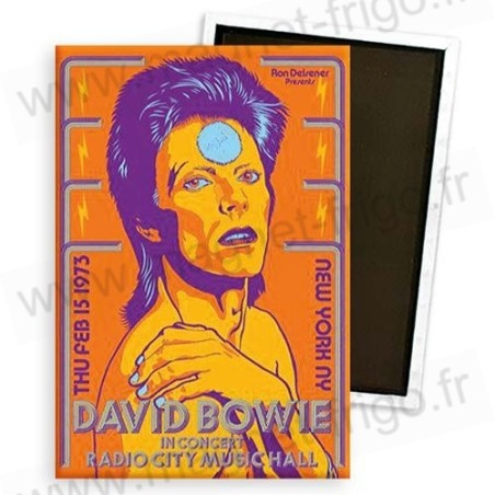 Magnet David Bowie