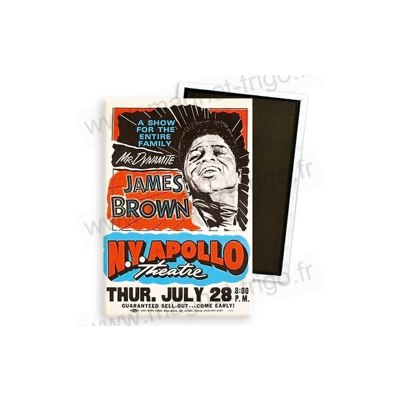 Magnet frigo James Brown